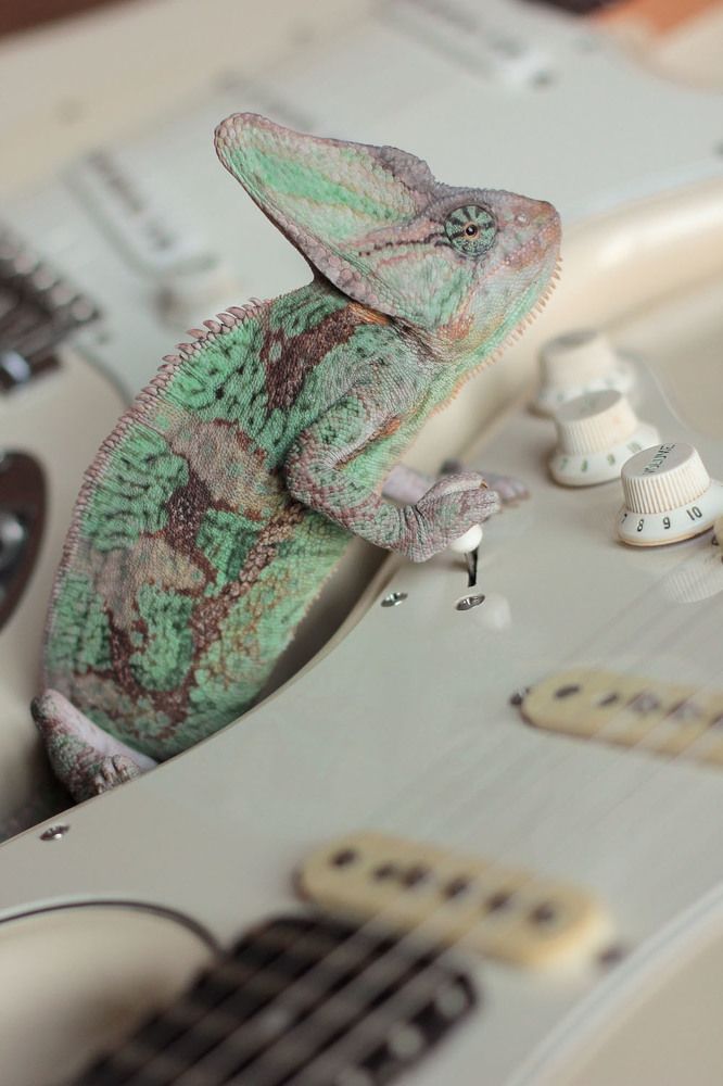 Мастер своего дела