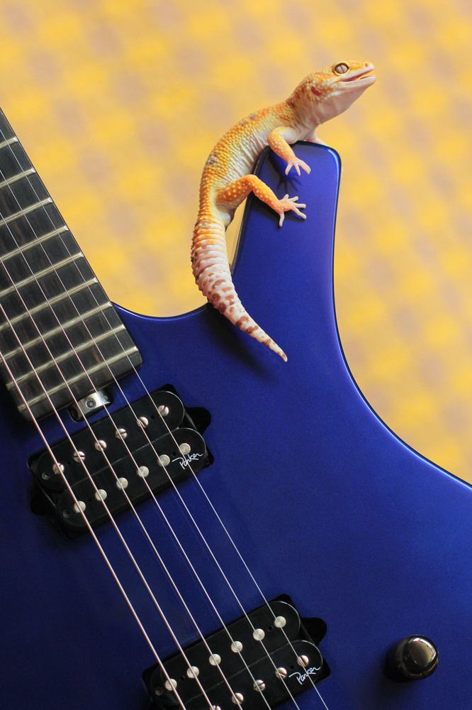 Репто-музыка