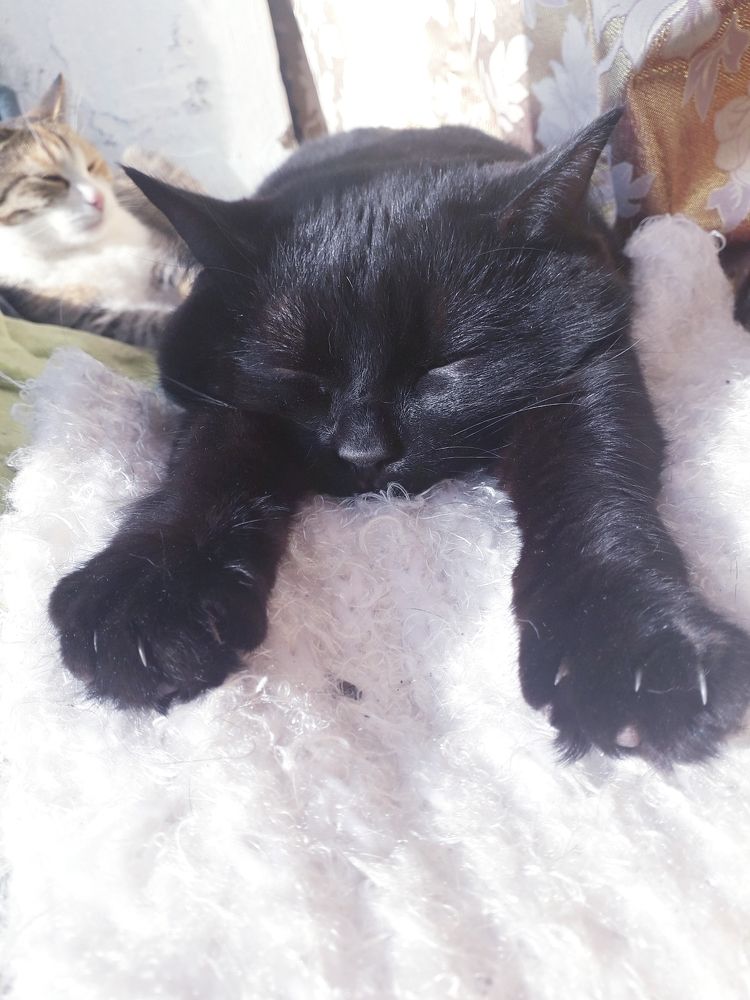 Photograph by Бутовец Алёна