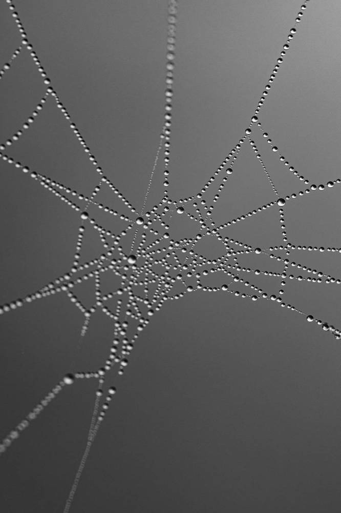 Photograph by Вероника Вербицкая