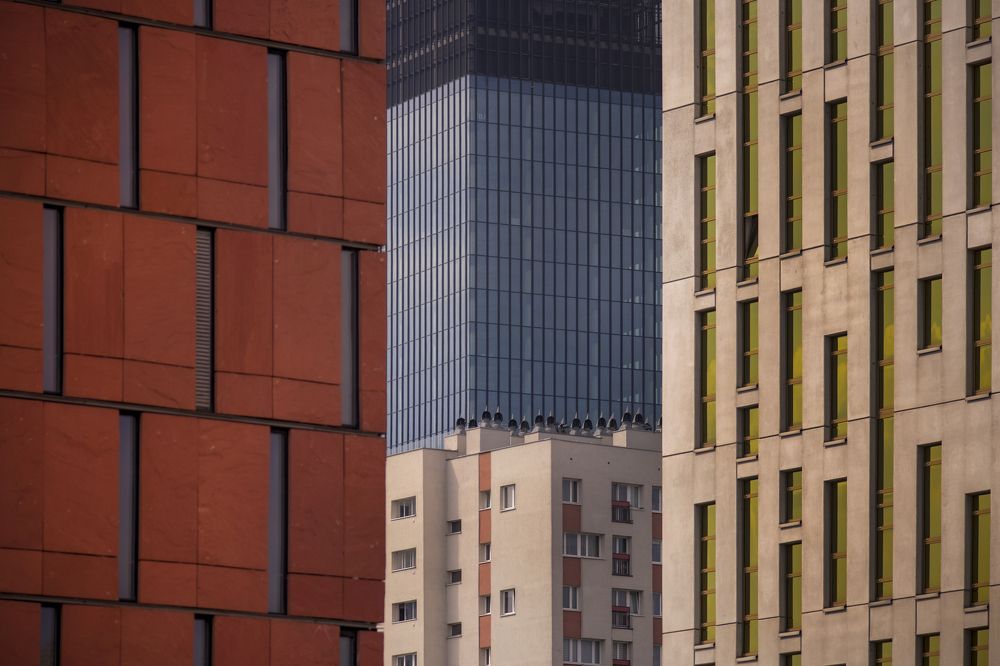 Photograph by Damian Cyfka