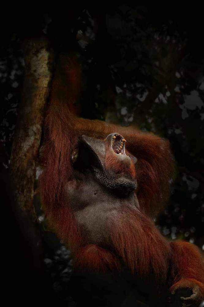 Photograph by Sathyan KM