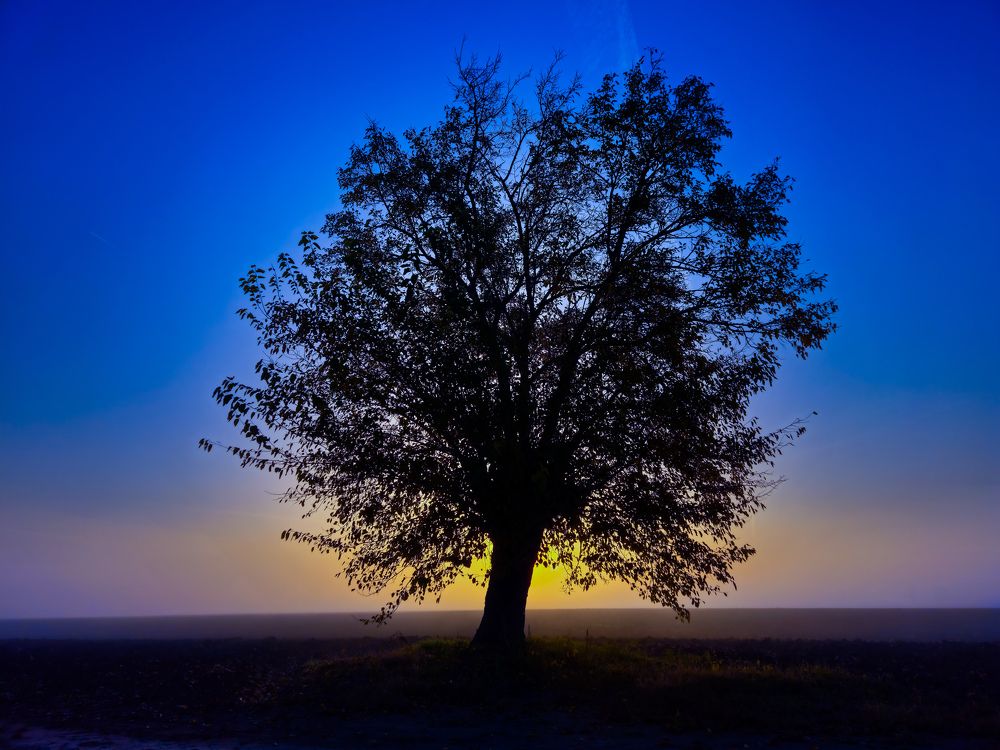 Photograph by Zdenko