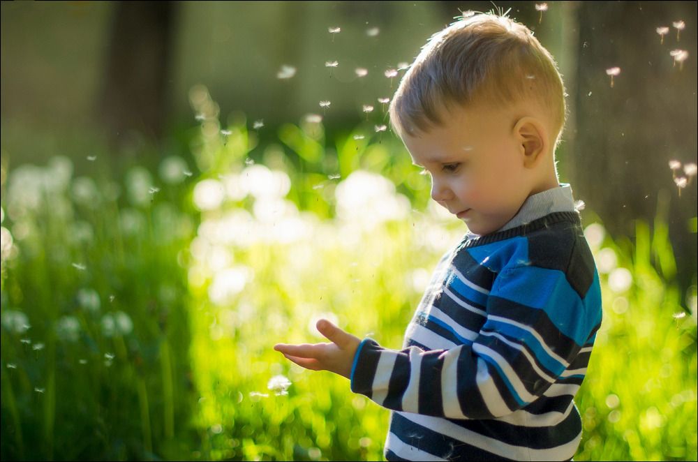 Photograph by Елена Троянская