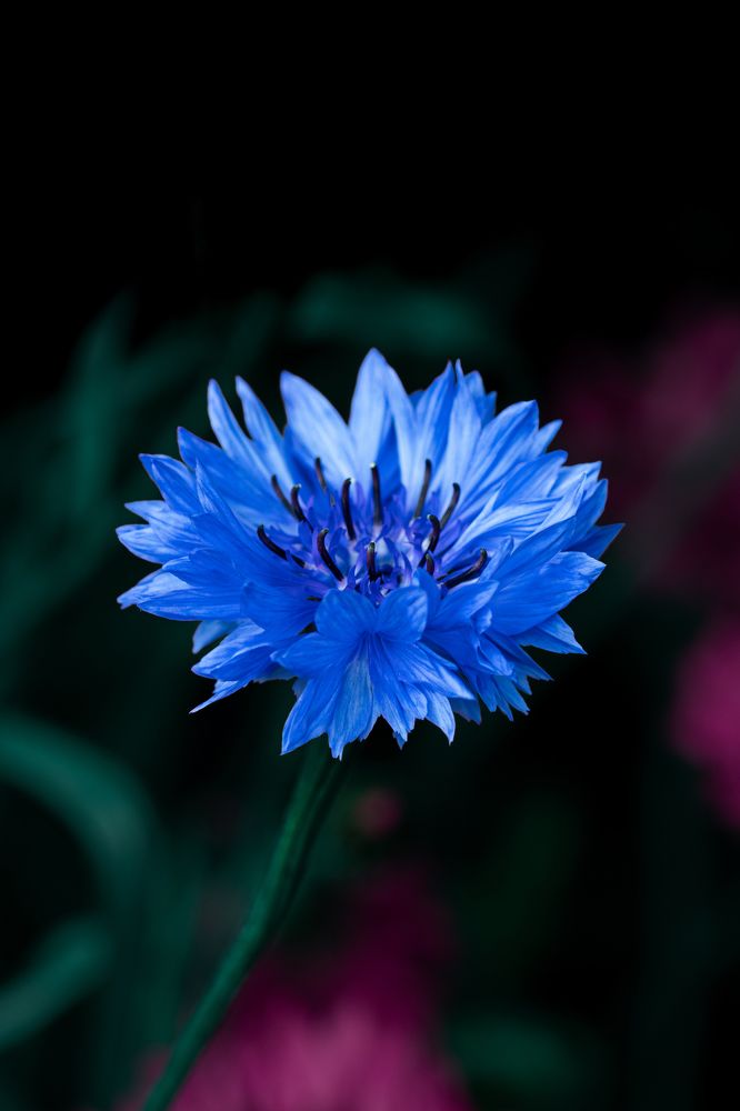 Photograph by Вероника Вербицкая