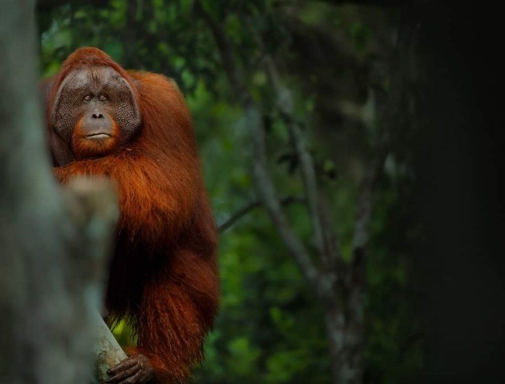 Photograph by Sathyan KM