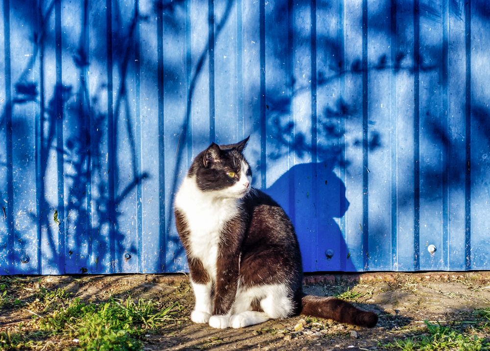 Photograph by Александр Редько