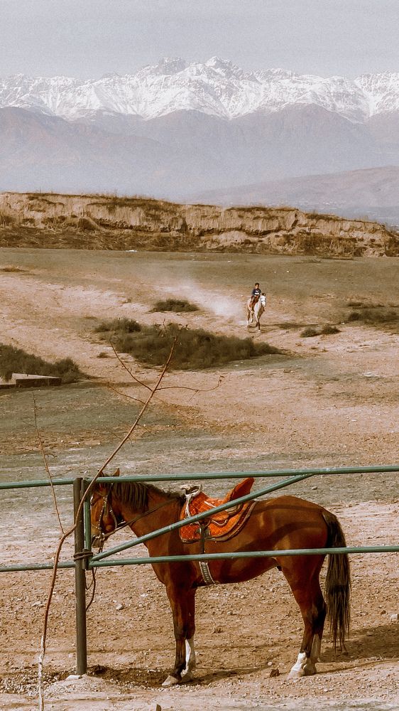 Photograph by Светлана Смук