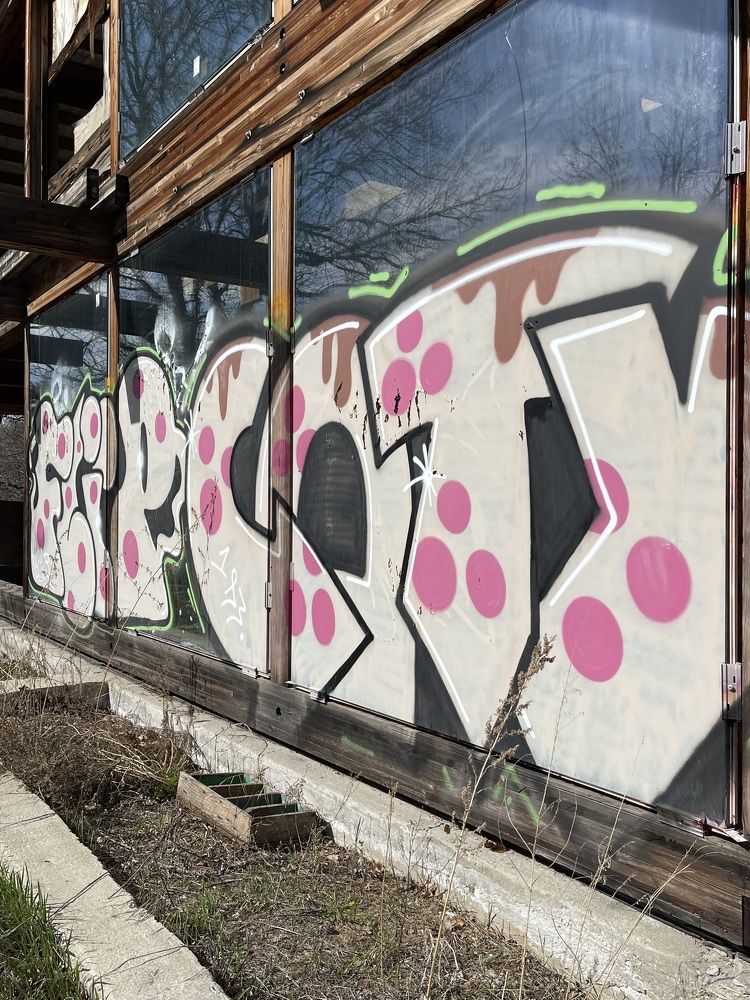 Photograph by Светлана Смук