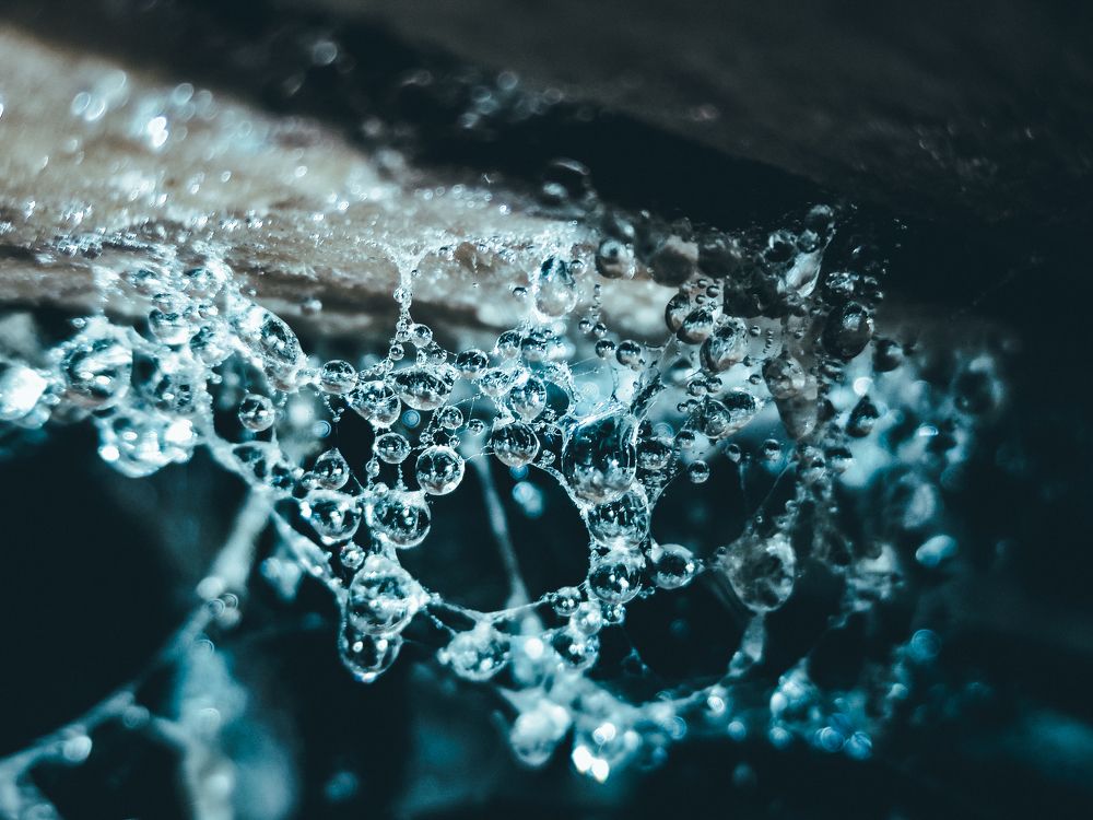 Photograph by Кристина Полякова