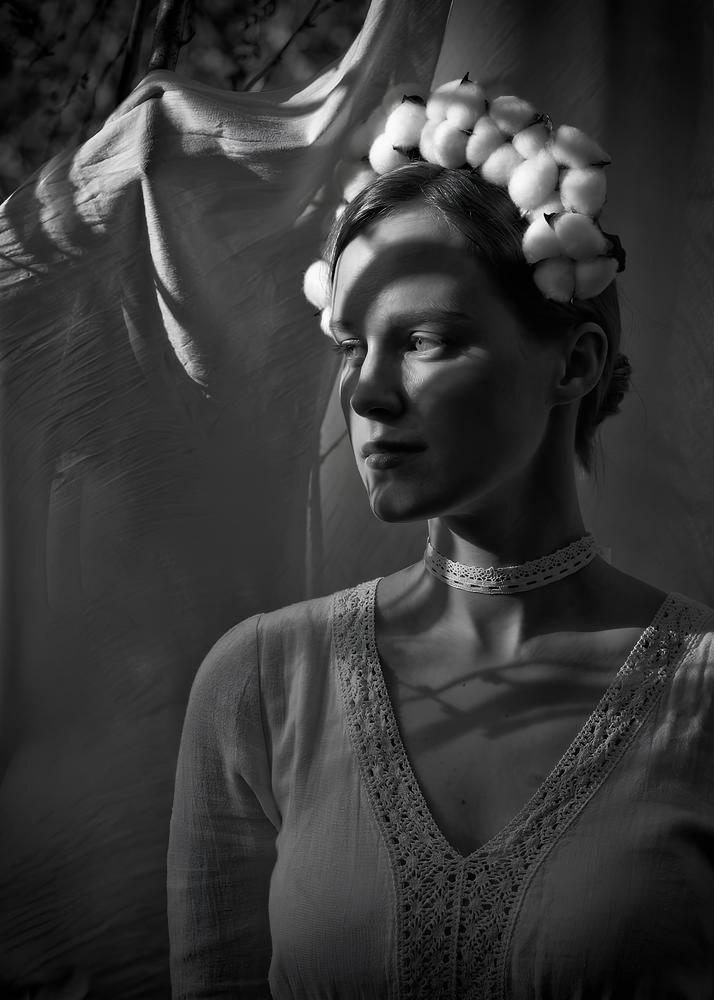 Фотография автора Лев Шутов