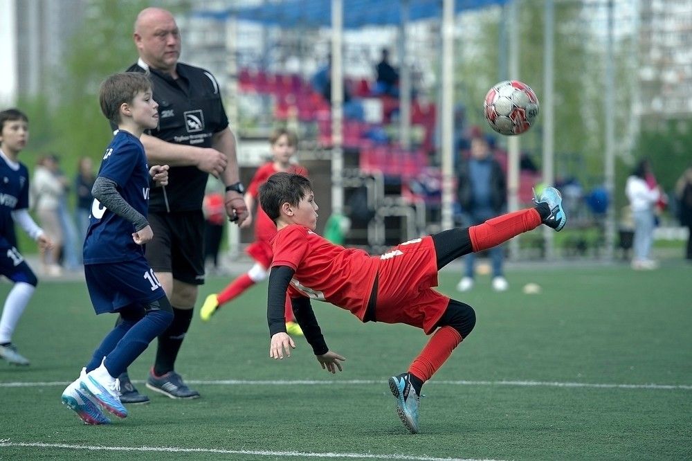 Photograph by Михаил Гущин