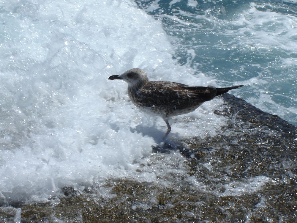 Photograph by Влад Василенко