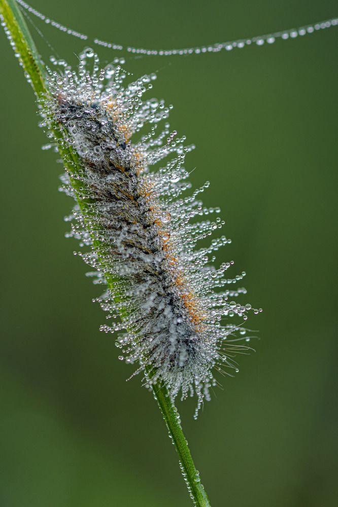 Photograph by Зайцев Роман