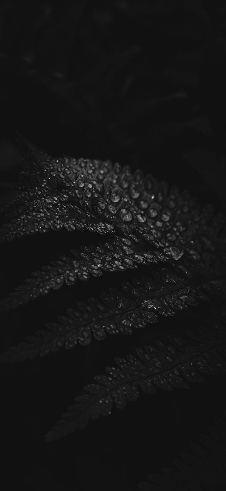 Photograph by Кристина Полякова