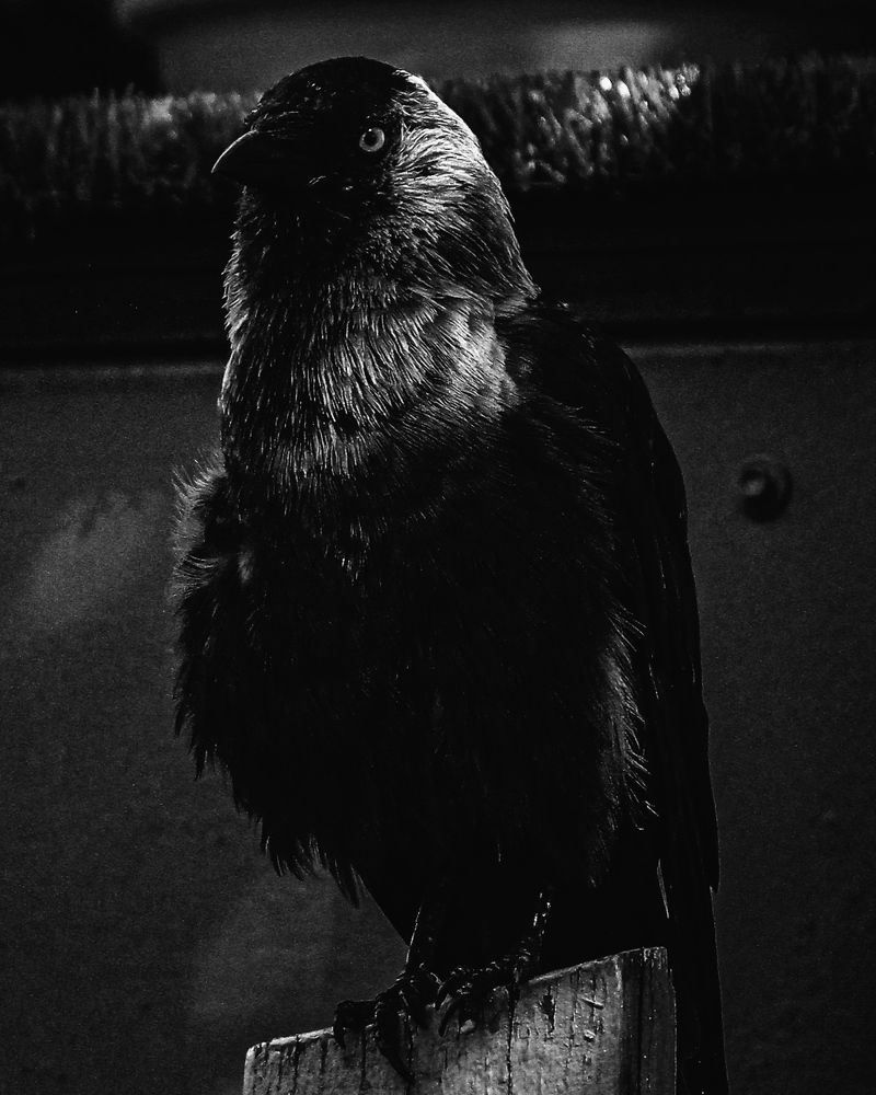 Photograph by Кристина Полякова