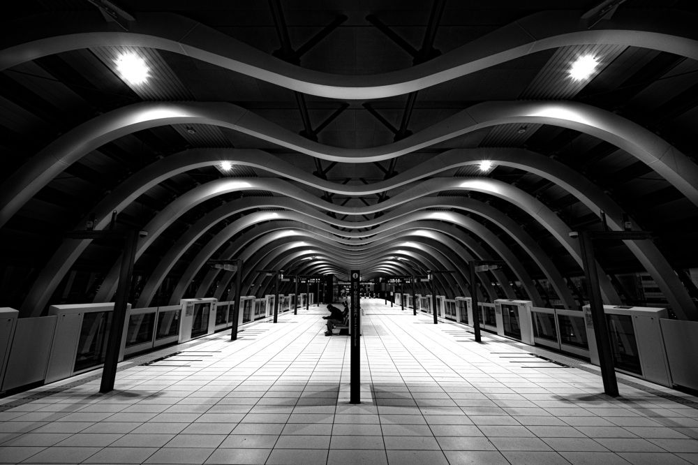 Photograph by Daiyu Moko