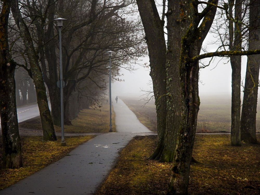 Прогулка в тумане