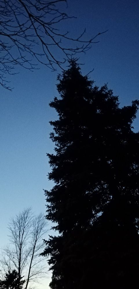 Photograph by Виктор Захаров