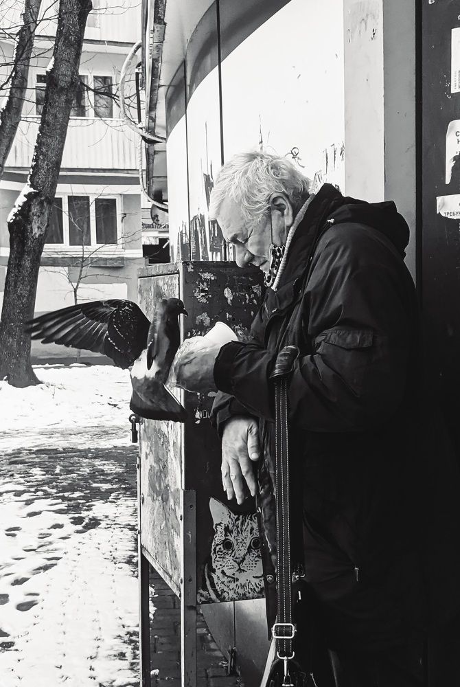 Фотография автора Ксения Шляйхер