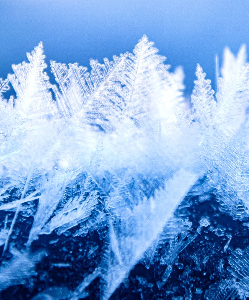 Photograph by Аверьянова Наталья