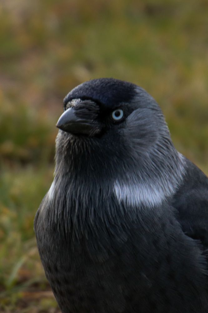 Photograph by Evgenia Korchagova