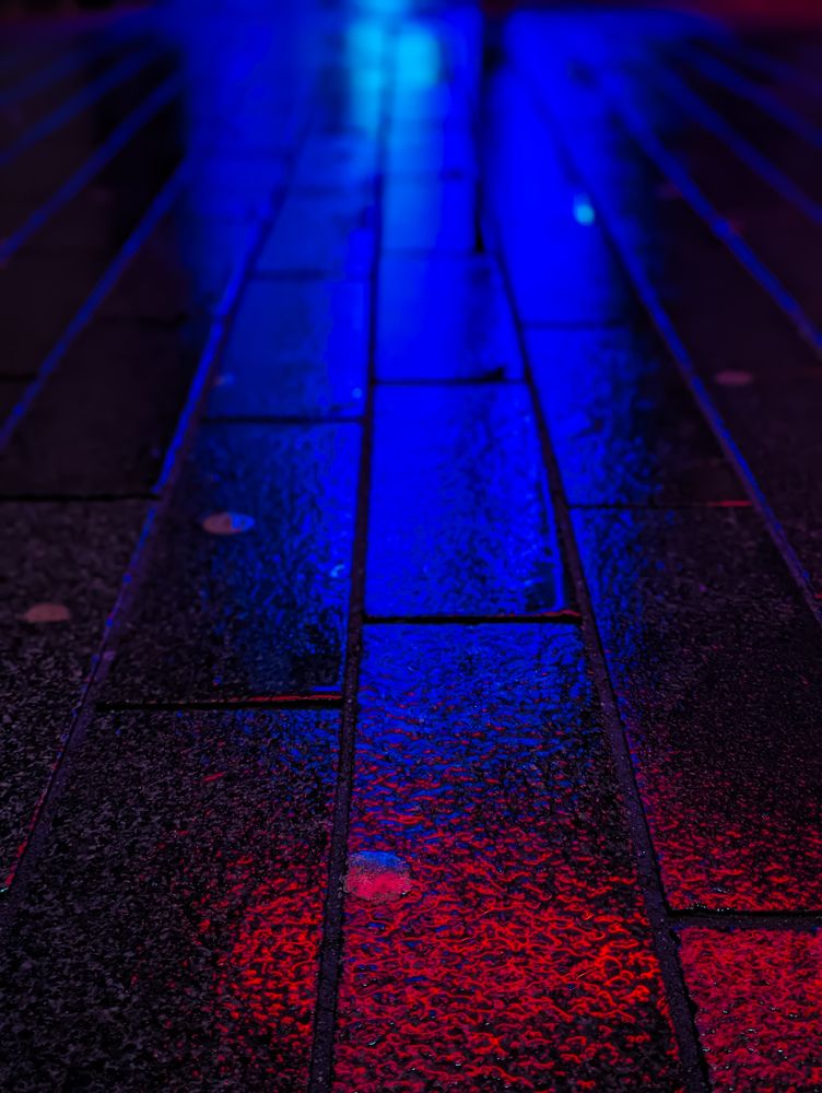 Фотография автора Ксения Шляйхер