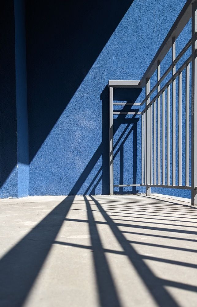 Фотография автора Ксения Шляйхер