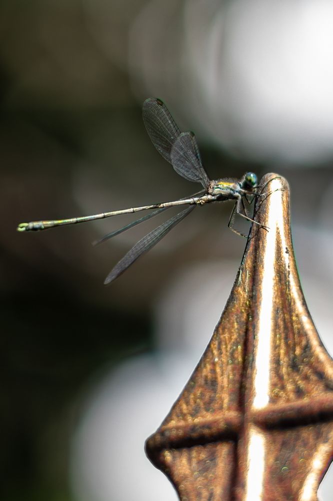 Photograph by Александр Свиблов