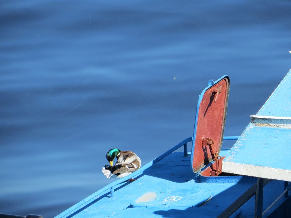 Photograph by Татьяна Поминова