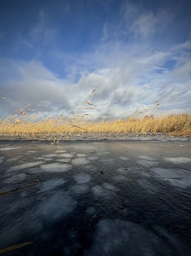Фотография автора Евгения Елисеева
