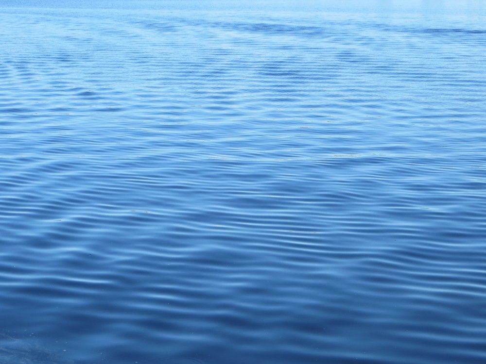 Photograph by Татьяна Поминова