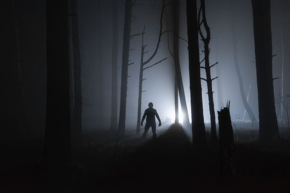 Photograph by Захаров Дмитрий