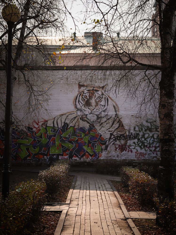 Photograph by MobigrafVDK