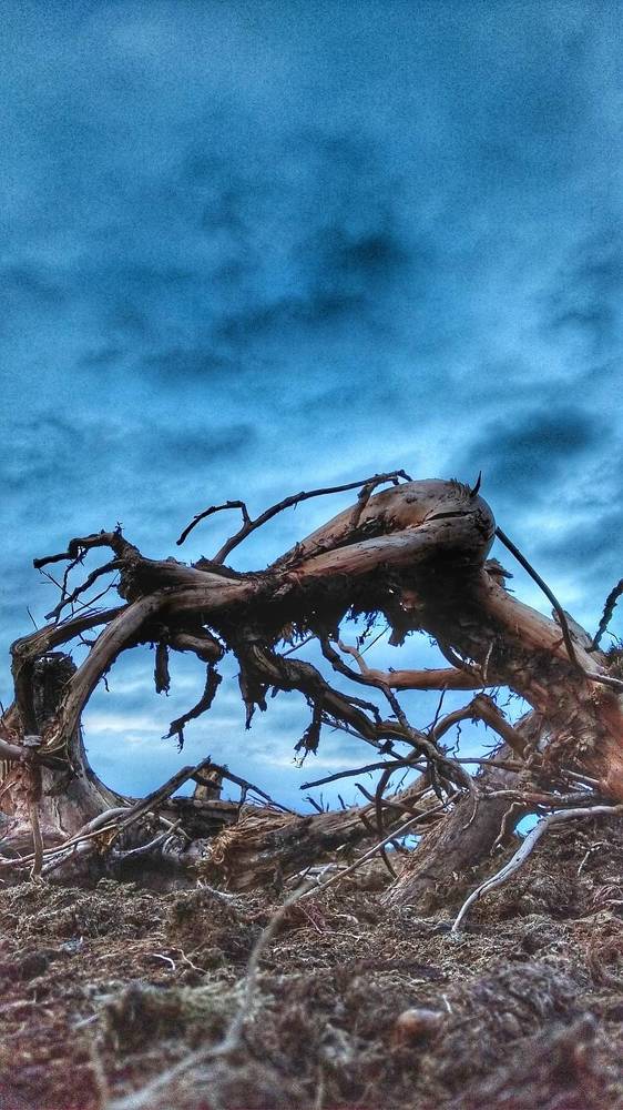 Photograph by Татьяна Абабкова