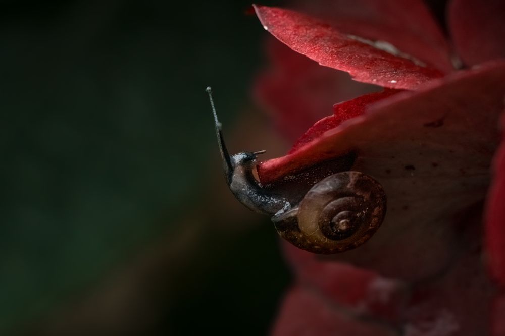 Photograph by Anya Lo