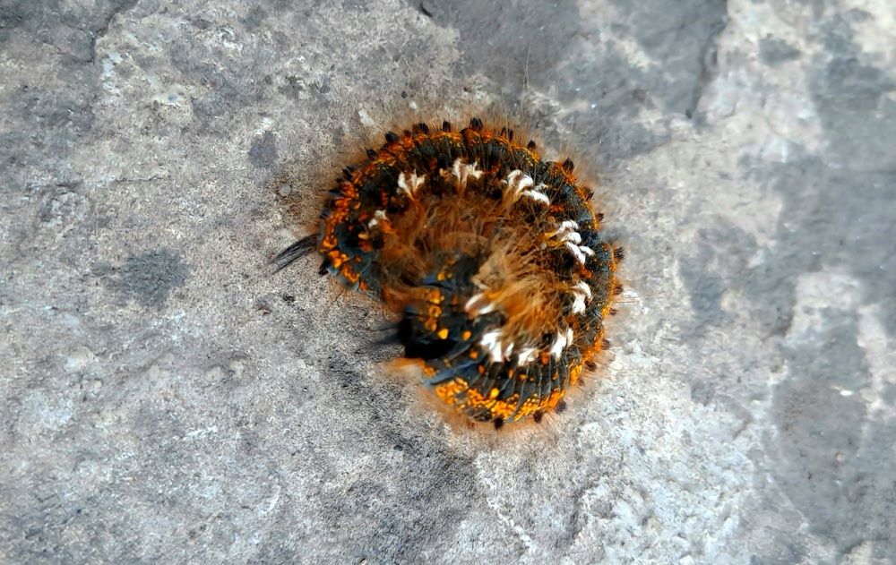 Photograph by Николай Худяков