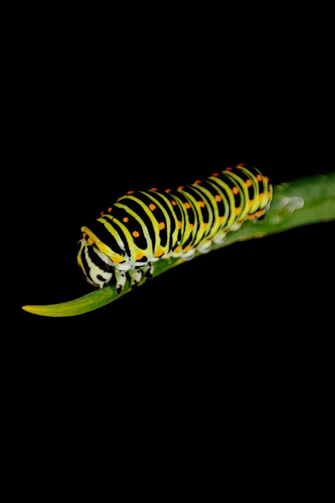 Photograph by Ирина Строкова