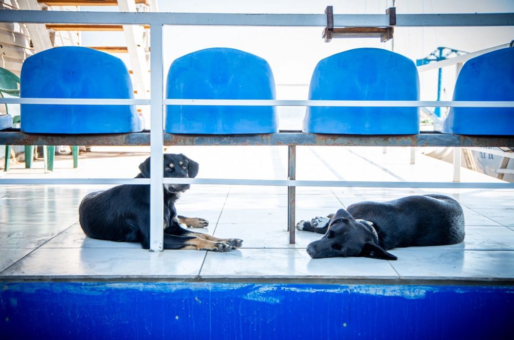 Photograph by Анна Иванова