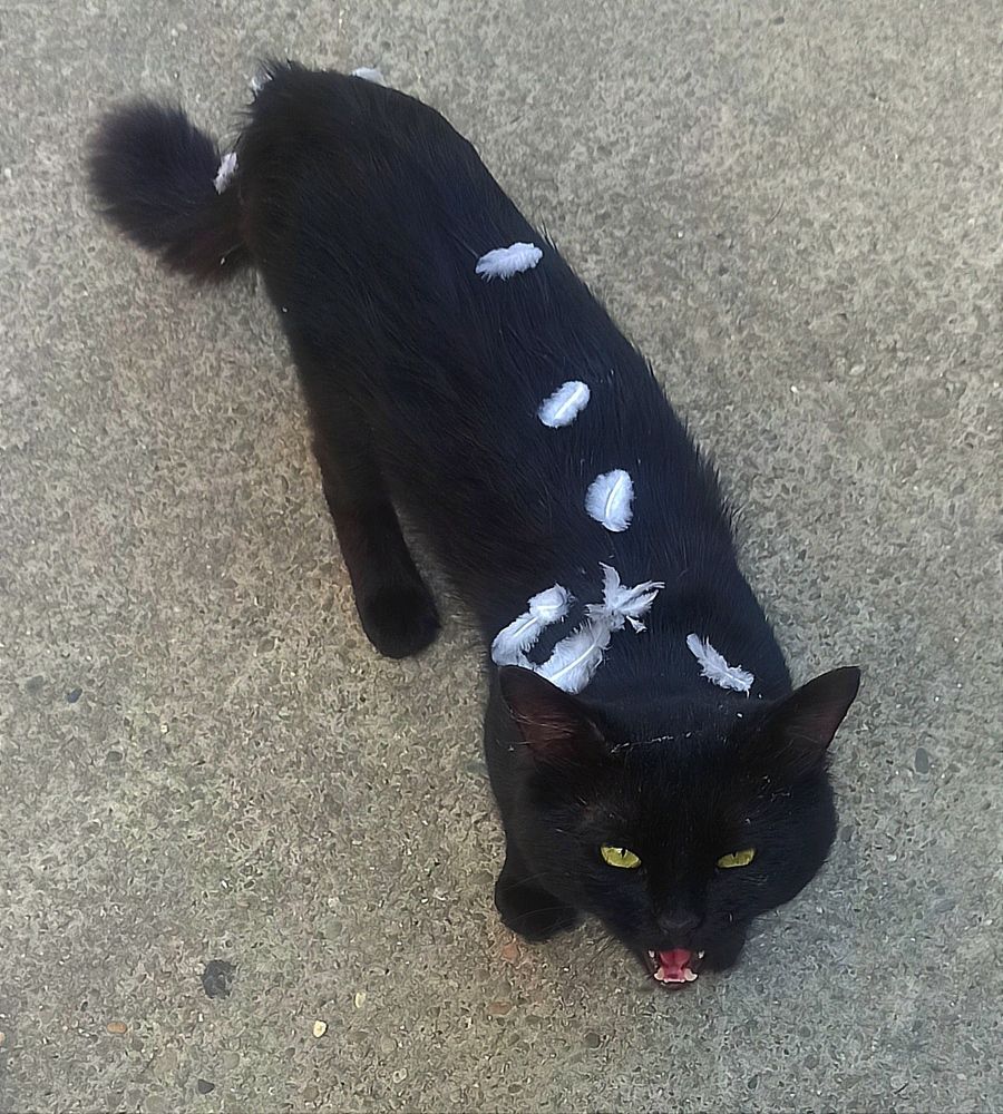 Photograph by Ольга Тихонова