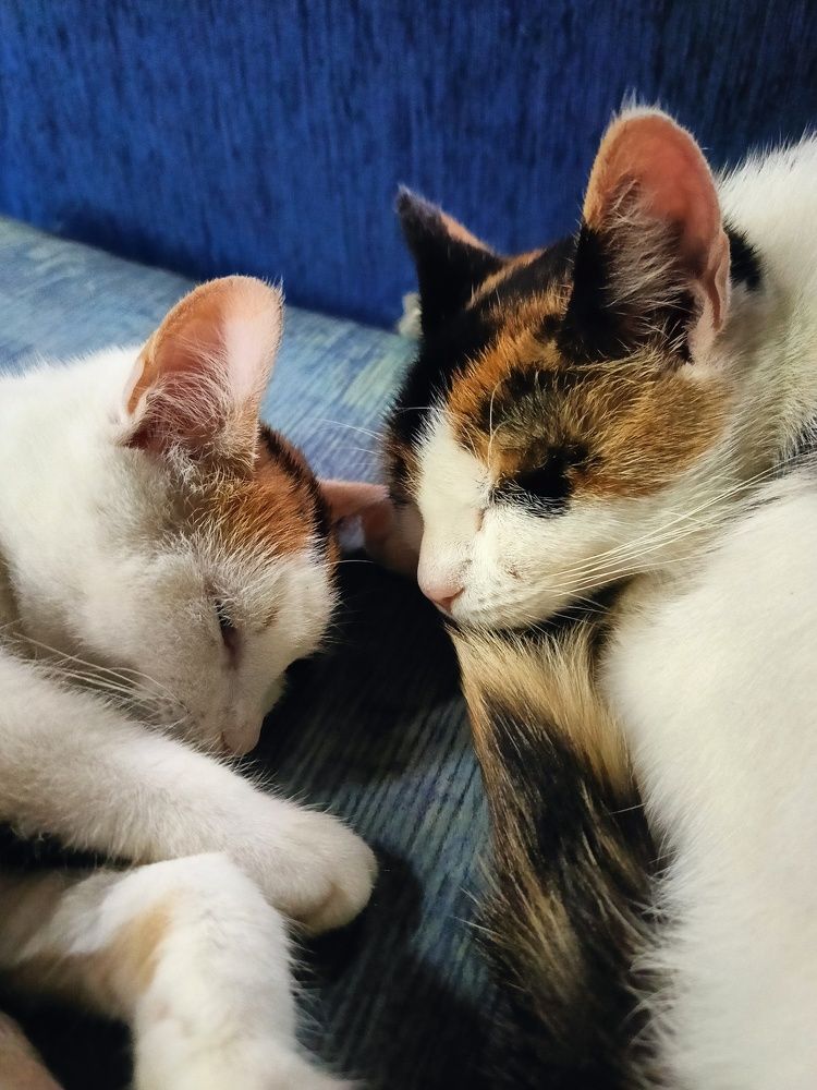 Photograph by Алексей Левичев