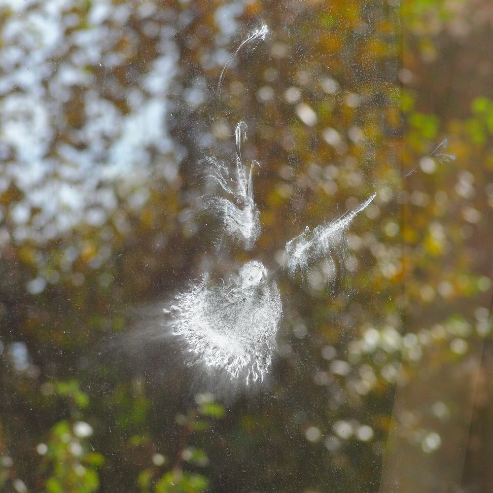 Призрачный гонщик