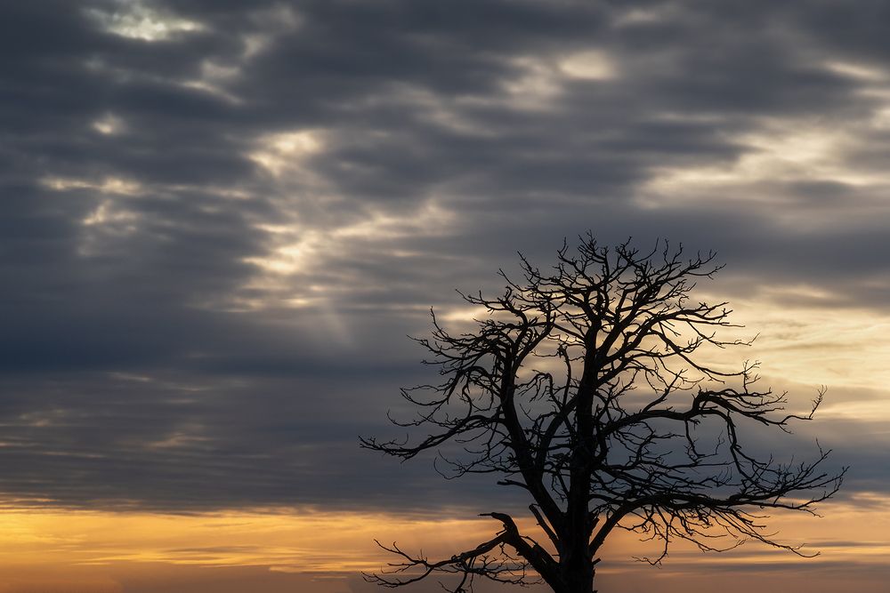 Photograph by Елена Амозова