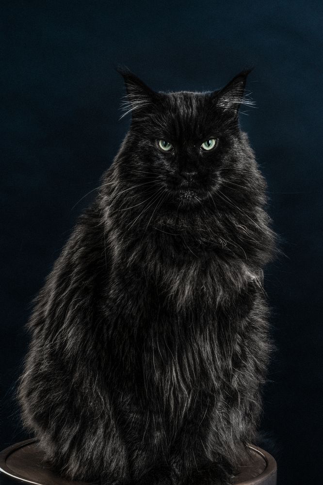 Photograph by Влад Шутов