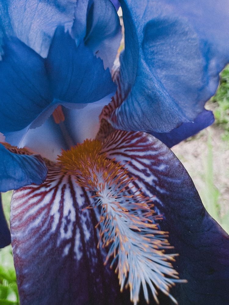 Photograph by Индира Кузнецова