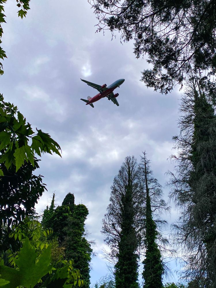 Photograph by Дарья Андреева