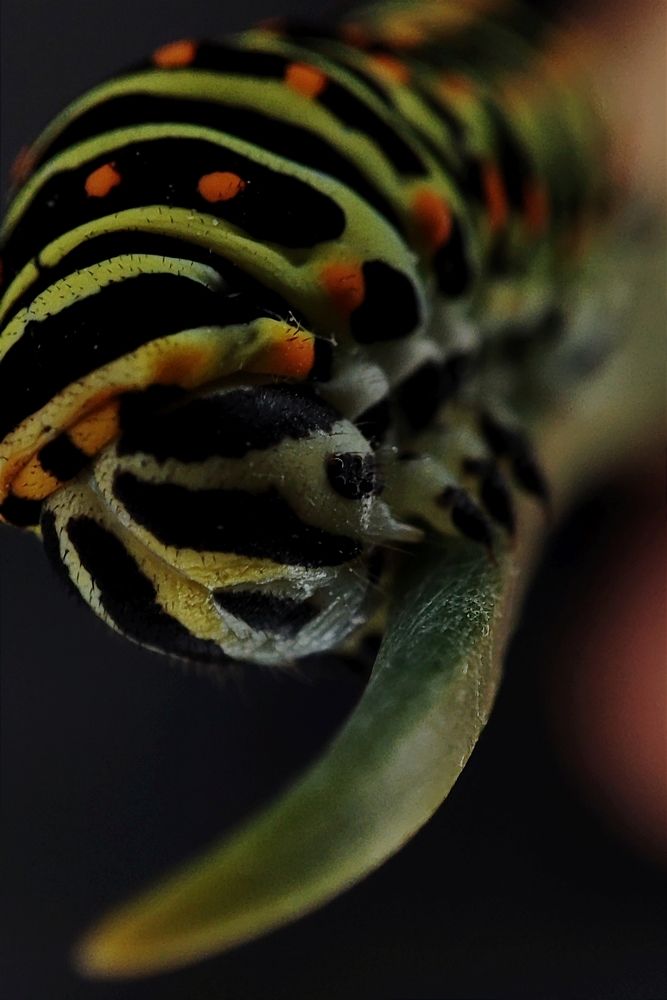 Photograph by Ирина Строкова