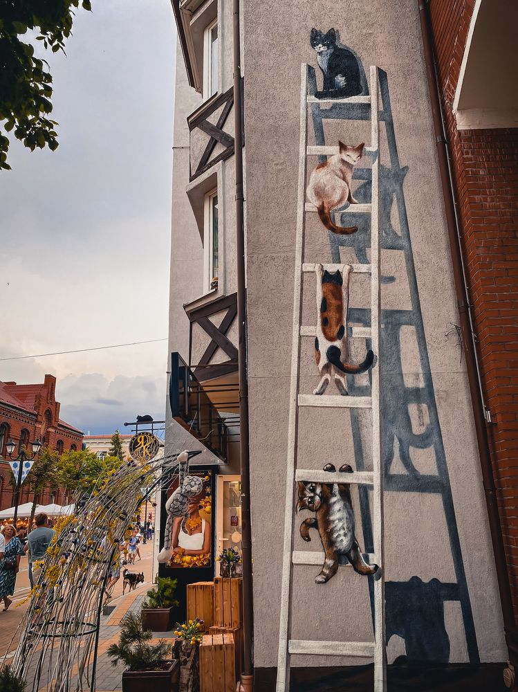 Photograph by Дарья Андреева