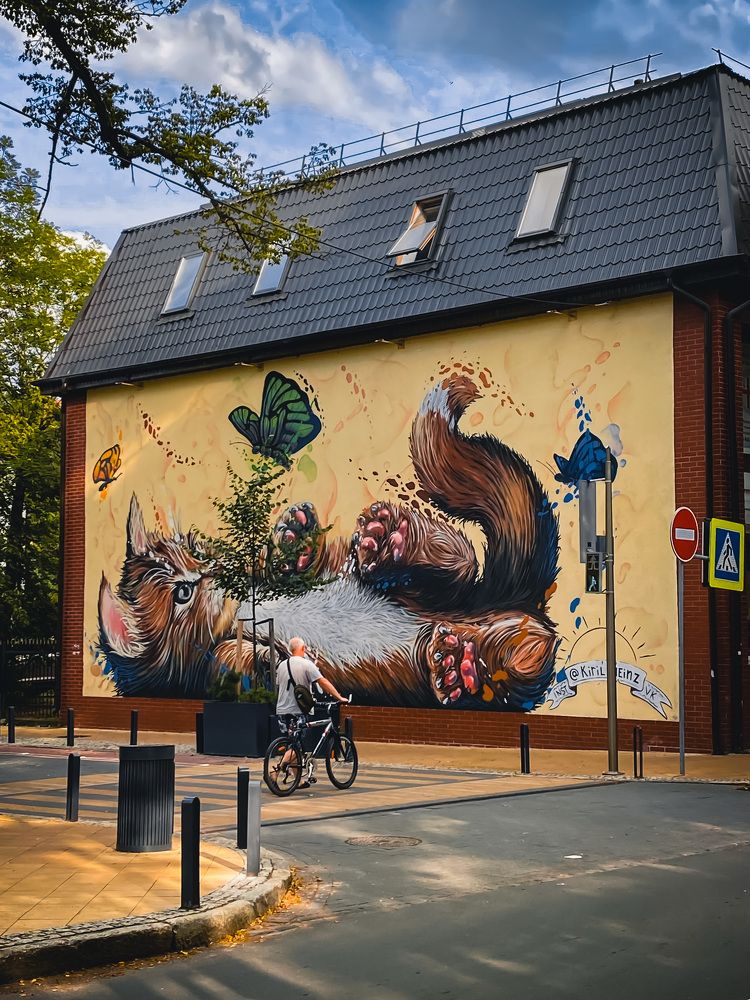 Photograph by Дарья Андреева