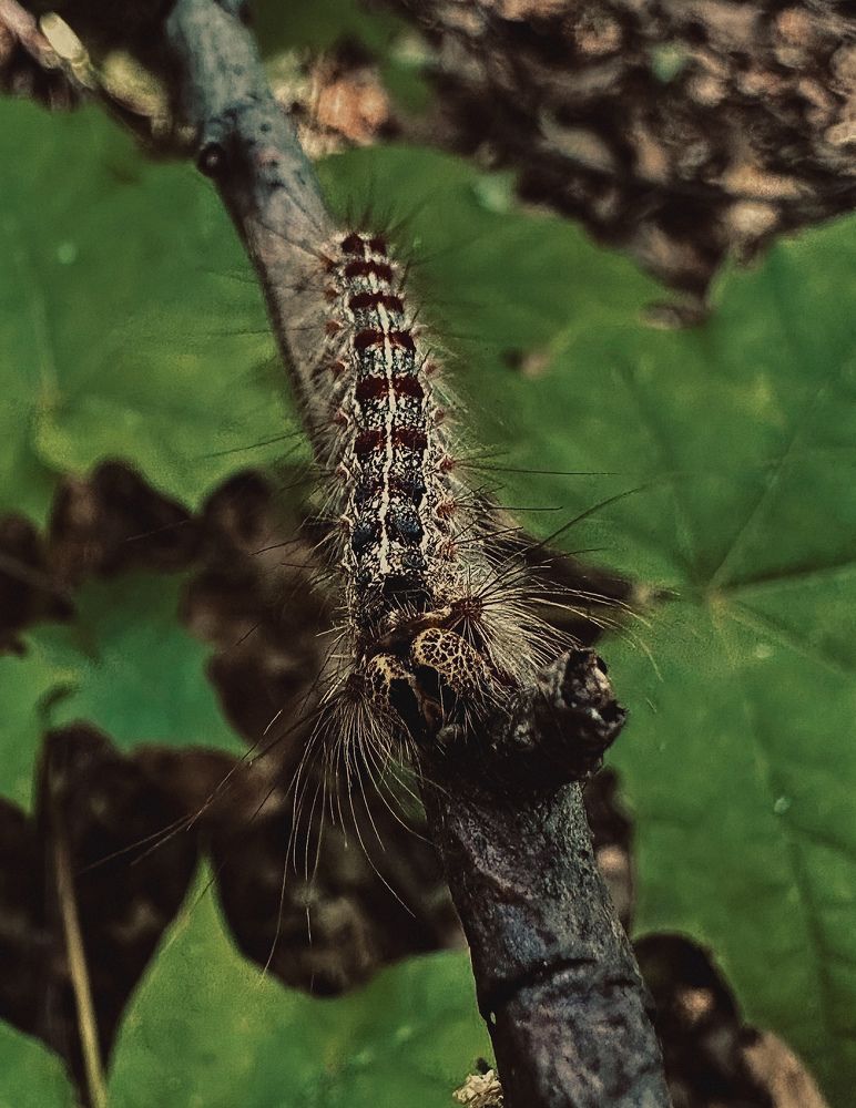 Photograph by Диана Бадеева